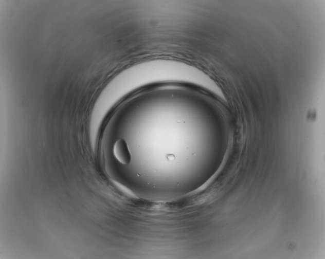 X0000092010562200709061535