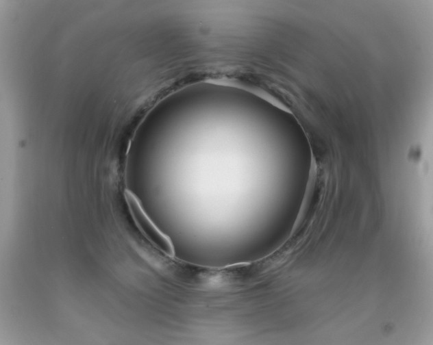 X0000092010564200709061535