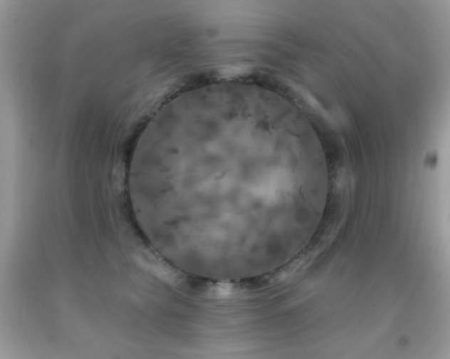 X0000092010565200709061535