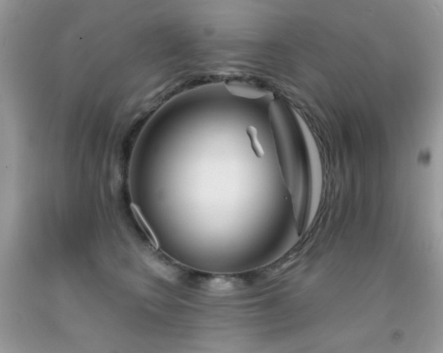 X0000092010566200709061535