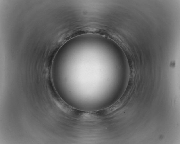 X0000092010568200709061535