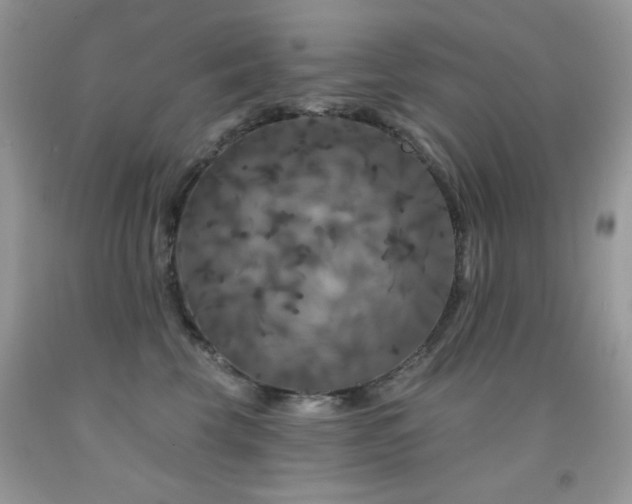 X0000092010569200709061535