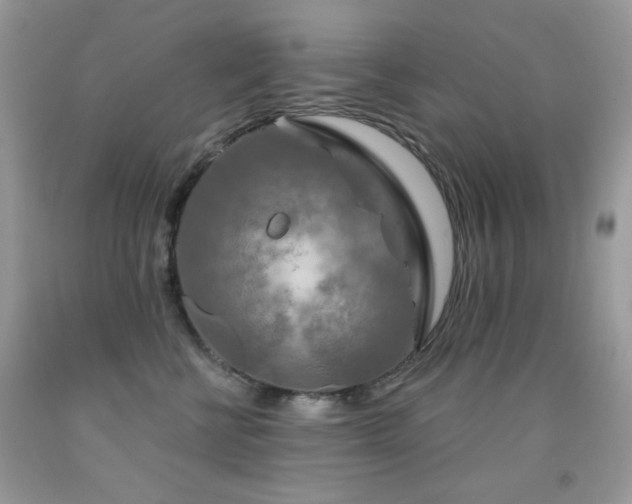 X0000092010570200709061535