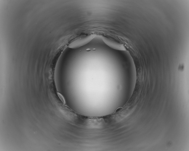 X0000092010571200709061535