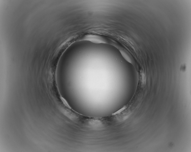 X0000092010572200709061535