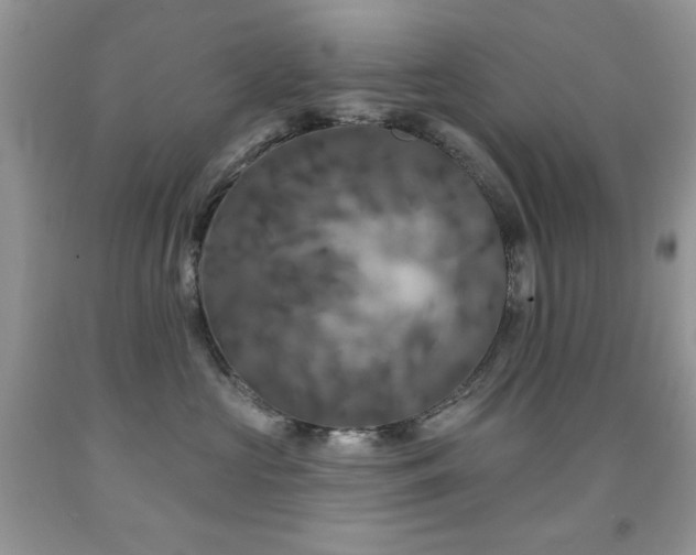 X0000092010573200709061535