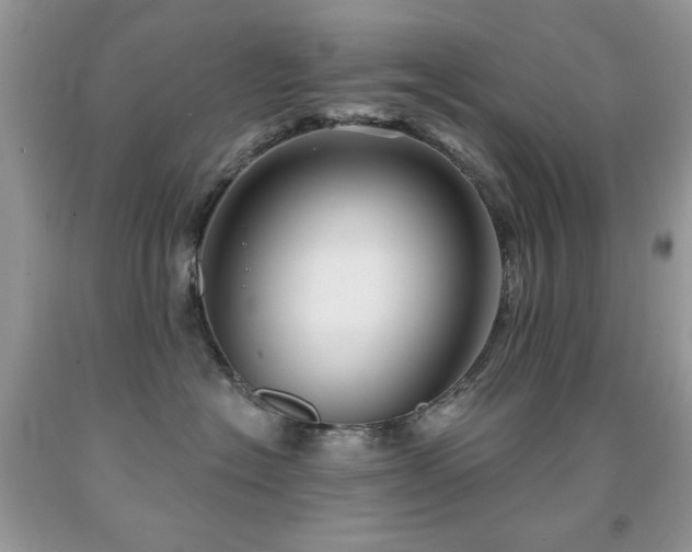 X0000092010574200709061535