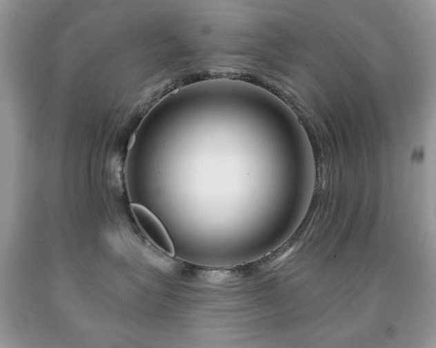 X0000092010575200709061535