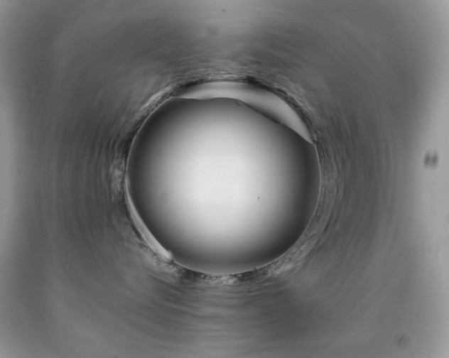X0000092010576200709061535