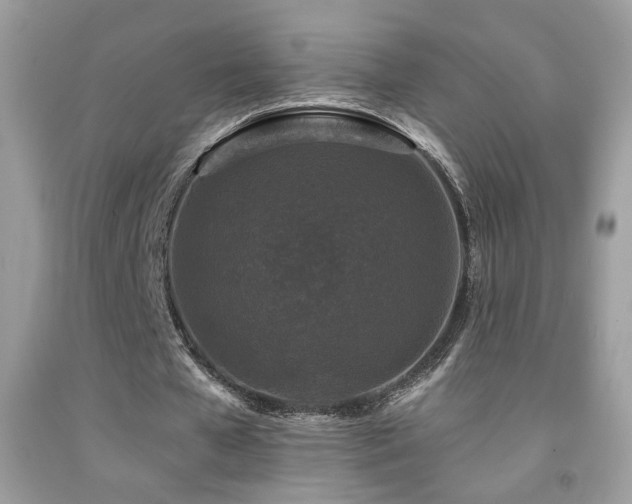 X0000092010577200709061534