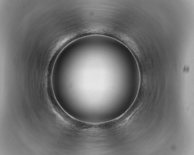 X0000092010578200709061534