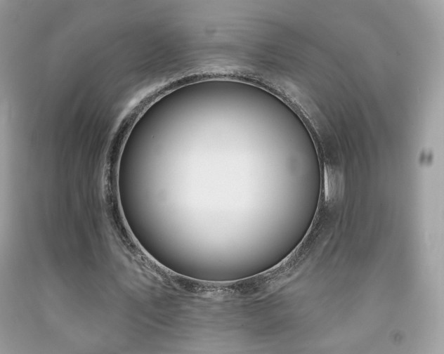 X0000092010579200709061534