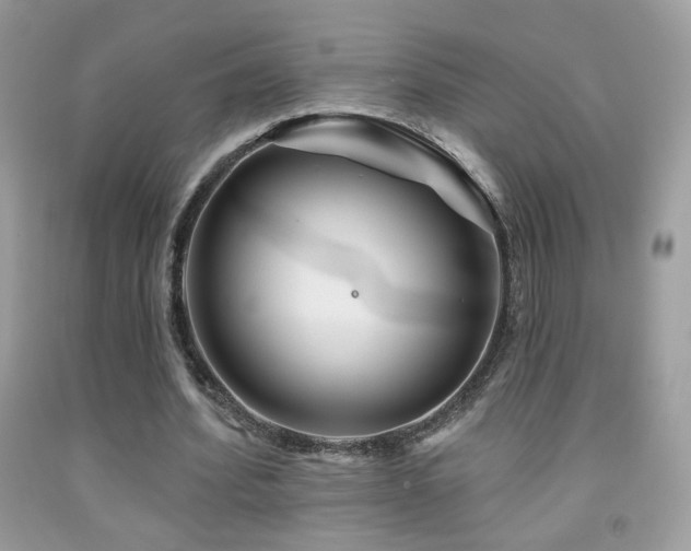X0000092010580200709061534