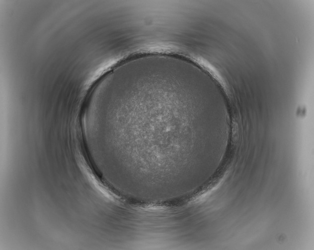 X0000092010581200709061534