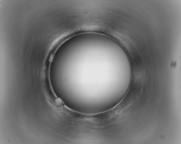 X0000092010583200709061534