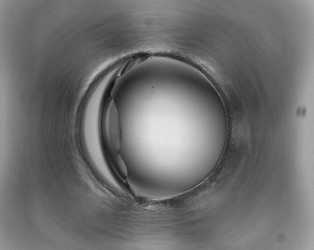 X0000092010584200709061534