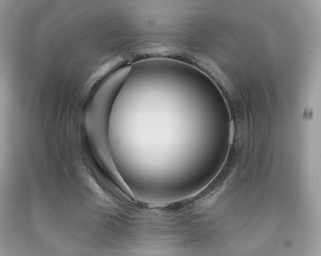 X0000092010585200709061534