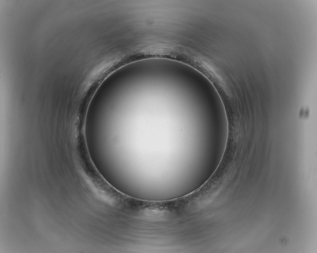 X0000092010586200709061534