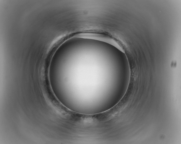 X0000092010587200709061534
