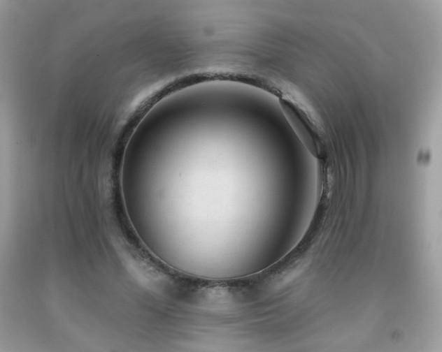 X0000092010588200709061534