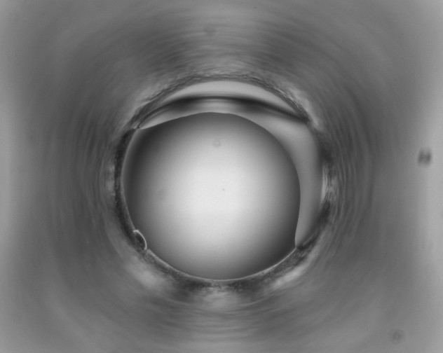X0000092010589200709061534