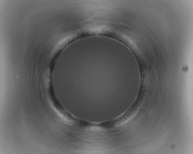 X0000092010590200709061534