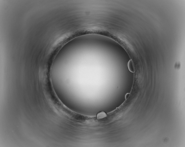 X0000092010591200709061534