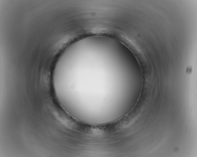 X0000092010592200709061534