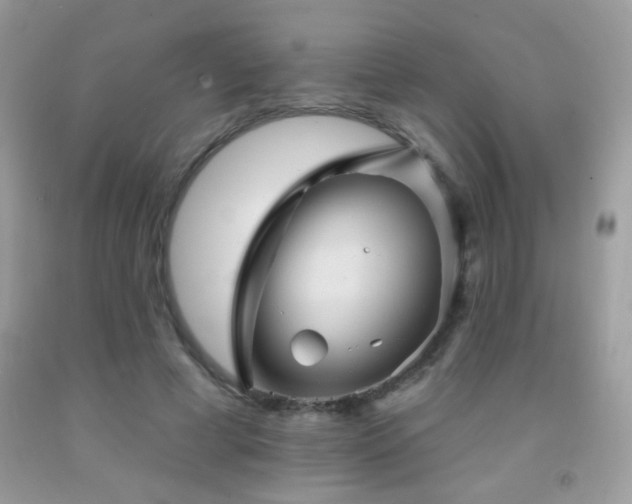 X0000092010593200709061534