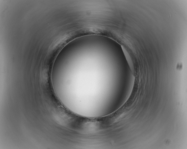 X0000092010595200709061534