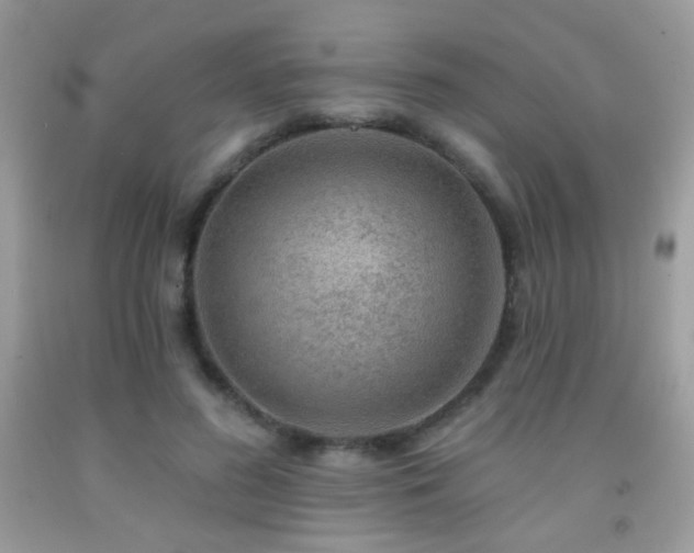 X0000092010596200709061534
