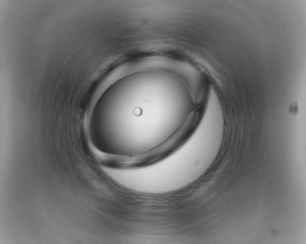 X0000092010597200709061534