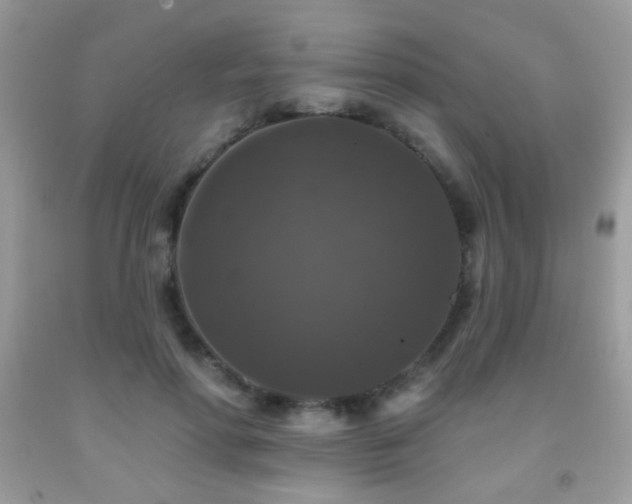 X0000092010598200709061534