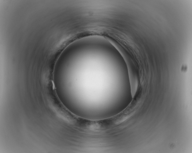 X0000092010600200709061534