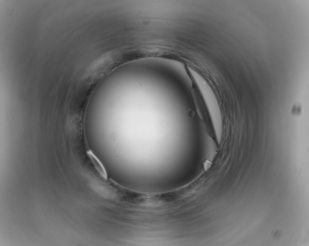 X0000092010601200709061534