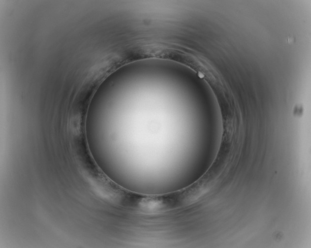 X0000092010602200709061534
