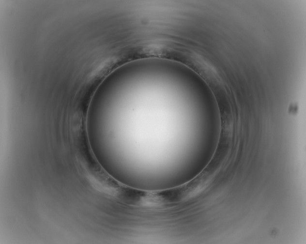 X0000092010603200709061534