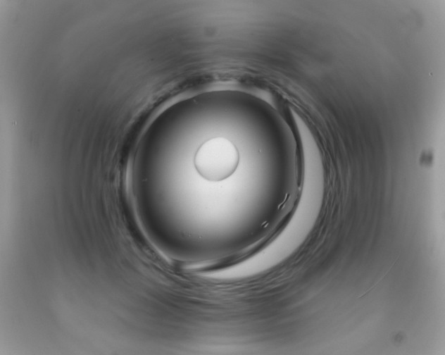 X0000092010604200709061534