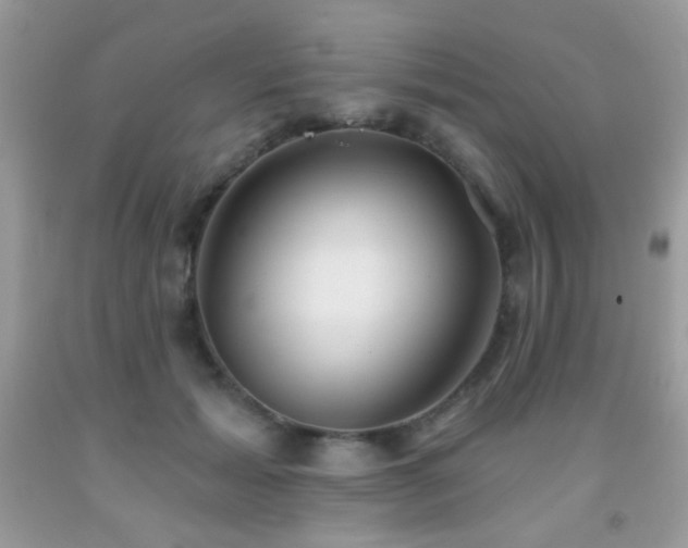 X0000092010605200709061534