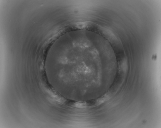 X0000092010606200709061534