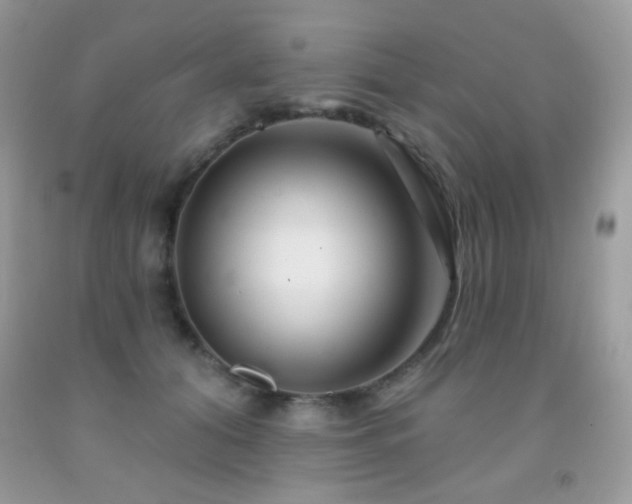 X0000092010608200709061534