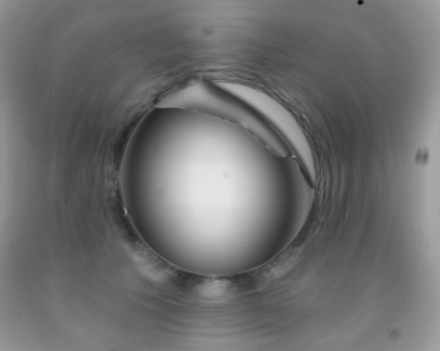 X0000092010609200709061534