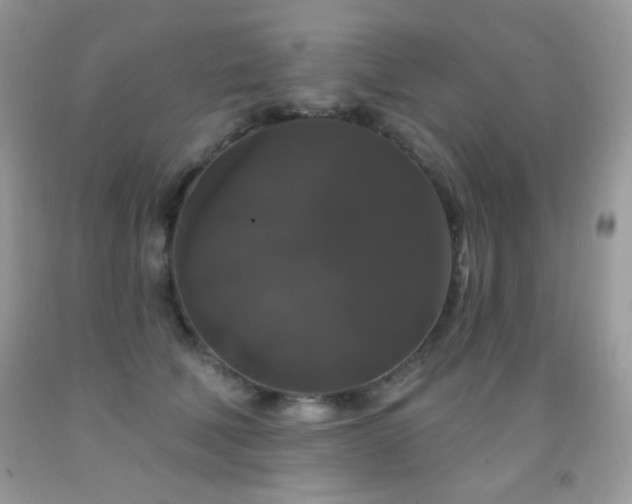 X0000092010610200709061534
