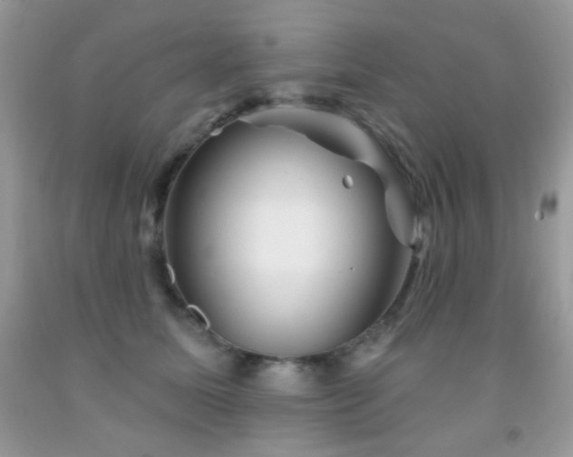 X0000092010611200709061534