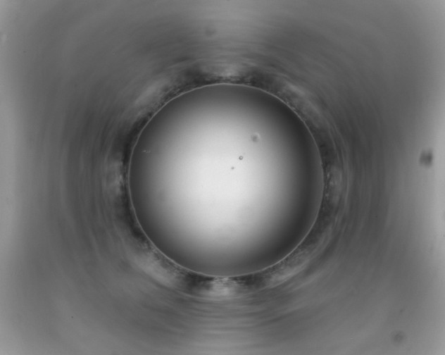 X0000092010612200709061534