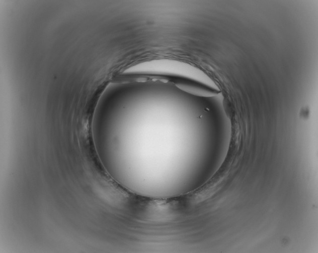 X0000092010613200709061534