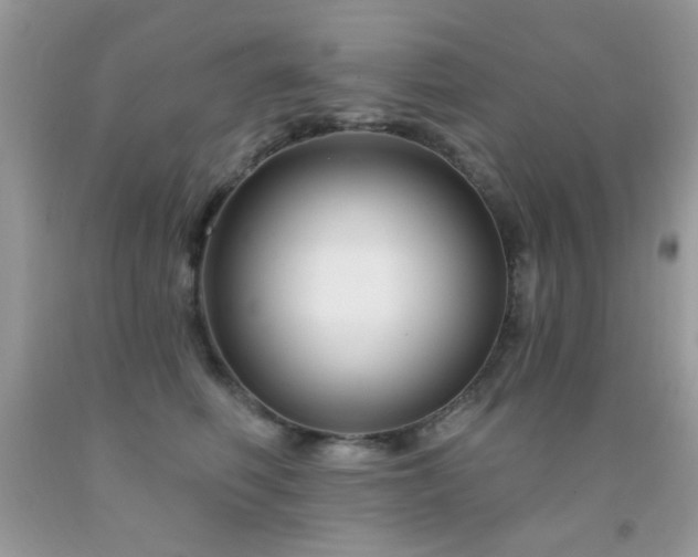 X0000092010614200709061534
