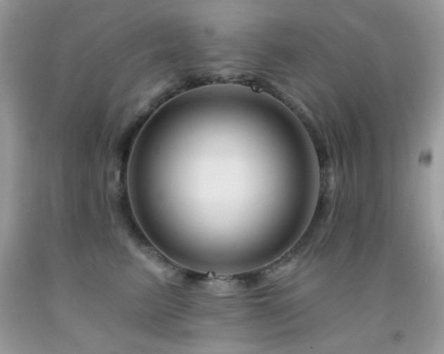 X0000092010615200709061534