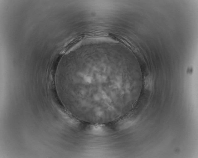 X0000092010618200709061534