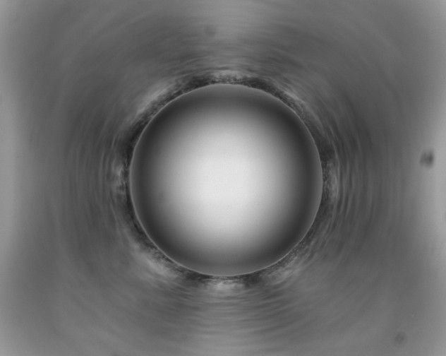 X0000092010619200709061534